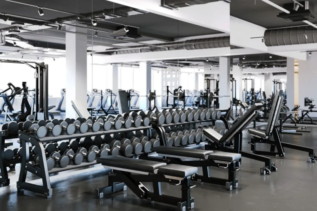 High-Quality Gym Mirrors - Ogden, Idaho Falls, Boise, Salt Lake City
