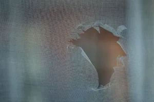 5 Signs It’s Time for Professional Screen Repair
